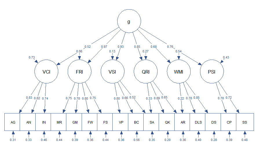 CORE hierarchical model