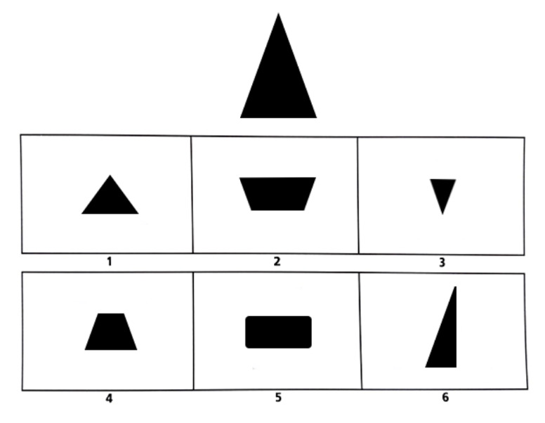 Question 13