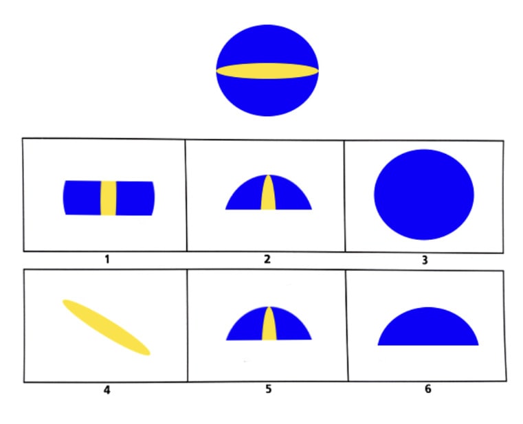 Question 6