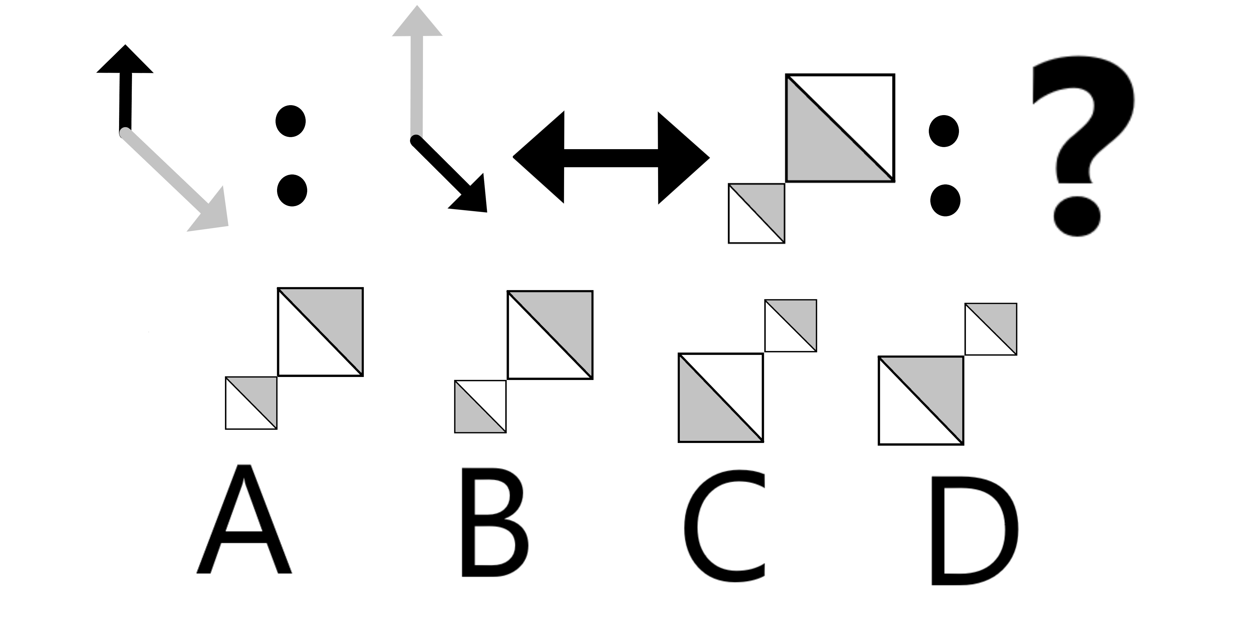 Question 5