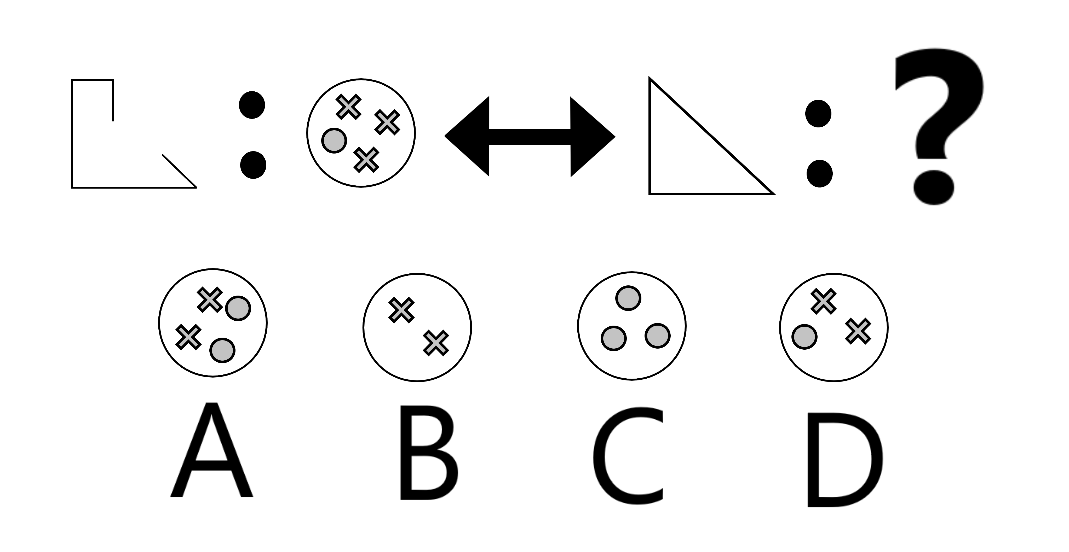 Question 7