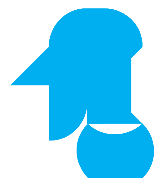 Question 11