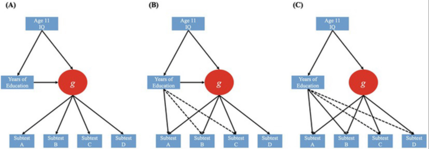 Tested models of education's influence on cognitive abilities